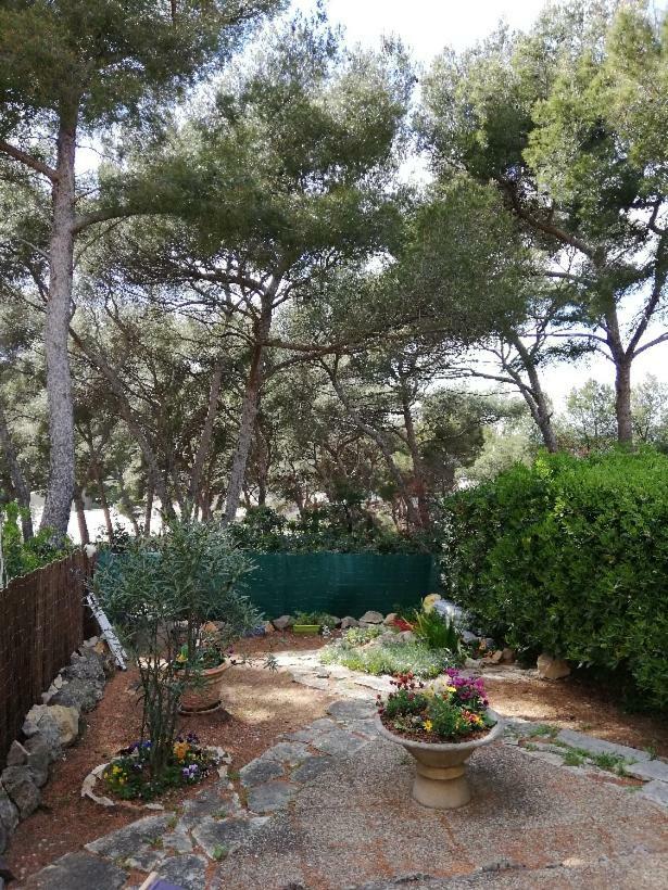T2 Rez De Jardin 300M Plage De Beaucours Sanary Sur Mer Экстерьер фото